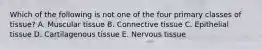 Which of the following is not one of the four primary classes of tissue? A. Muscular tissue B. Connective tissue C. Epithelial tissue D. Cartilagenous tissue E. Nervous tissue