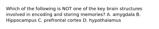 Which of the following is NOT one of the key brain structures involved in encoding and storing memories? A. amygdala B. Hippocampus C. prefrontal cortex D. hypothalamus