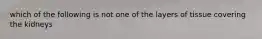 which of the following is not one of the layers of tissue covering the kidneys