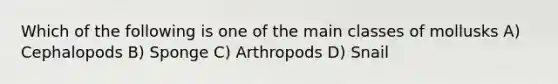 Which of the following is one of the main classes of mollusks A) Cephalopods B) Sponge C) Arthropods D) Snail