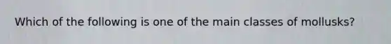 Which of the following is one of the main classes of mollusks?