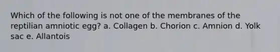 Which of the following is not one of the membranes of the reptilian amniotic egg? a. Collagen b. Chorion c. Amnion d. Yolk sac e. Allantois