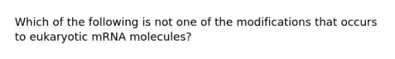 Which of the following is not one of the modifications that occurs to eukaryotic mRNA molecules?