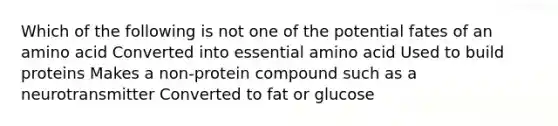 Which of the following is not one of the potential fates of an amino acid Converted into essential amino acid Used to build proteins Makes a non-protein compound such as a neurotransmitter Converted to fat or glucose