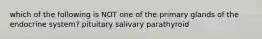 which of the following is NOT one of the primary glands of the endocrine system? pituitary salivary parathyroid