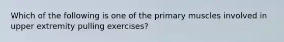 Which of the following is one of the primary muscles involved in upper extremity pulling exercises?