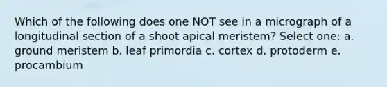 Which of the following does one NOT see in a micrograph of a longitudinal section of a shoot apical meristem? Select one: a. ground meristem b. leaf primordia c. cortex d. protoderm e. procambium