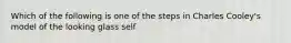 Which of the following is one of the steps in Charles Cooley's model of the looking glass self