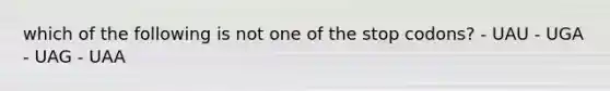 which of the following is not one of the stop codons? - UAU - UGA - UAG - UAA