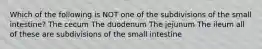 Which of the following is NOT one of the subdivisions of the small intestine? The cecum The duodenum The jejunum The ileum all of these are subdivisions of the small intestine