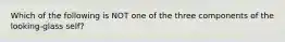 Which of the following is NOT one of the three components of the looking-glass self?