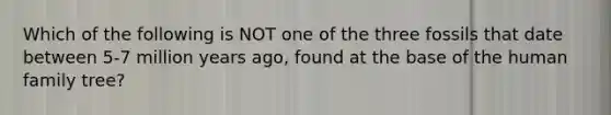 Which of the following is NOT one of the three fossils that date between 5-7 million years ago, found at the base of the human family tree?