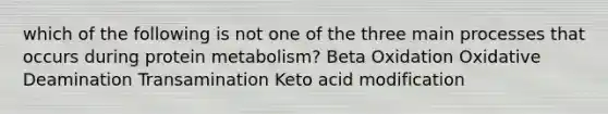 which of the following is not one of the three main processes that occurs during protein metabolism? Beta Oxidation Oxidative Deamination Transamination Keto acid modification