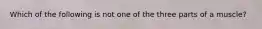 Which of the following is not one of the three parts of a muscle?