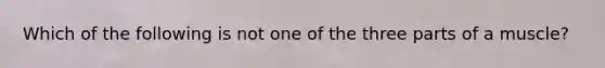 Which of the following is not one of the three parts of a muscle?