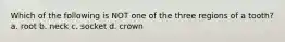 Which of the following is NOT one of the three regions of a tooth? a. root b. neck c. socket d. crown