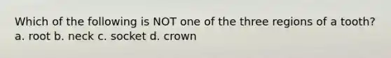 Which of the following is NOT one of the three regions of a tooth? a. root b. neck c. socket d. crown