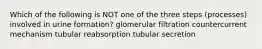 Which of the following is NOT one of the three steps (processes) involved in urine formation? glomerular filtration countercurrent mechanism tubular reabsorption tubular secretion