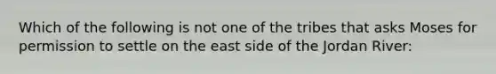 Which of the following is not one of the tribes that asks Moses for permission to settle on the east side of the Jordan River: