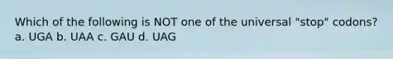 Which of the following is NOT one of the universal "stop" codons? a. UGA b. UAA c. GAU d. UAG