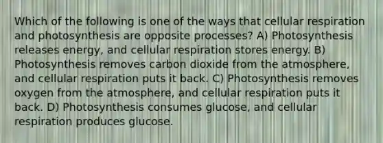 Which of the following is one of the ways that cellular respiration and photosynthesis are opposite processes? A) Photosynthesis releases energy, and cellular respiration stores energy. B) Photosynthesis removes carbon dioxide from the atmosphere, and cellular respiration puts it back. C) Photosynthesis removes oxygen from the atmosphere, and cellular respiration puts it back. D) Photosynthesis consumes glucose, and cellular respiration produces glucose.