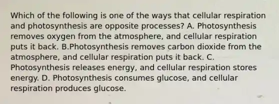 Which of the following is one of the ways that cellular respiration and photosynthesis are opposite processes? A. Photosynthesis removes oxygen from the atmosphere, and cellular respiration puts it back. B.Photosynthesis removes carbon dioxide from the atmosphere, and cellular respiration puts it back. C. Photosynthesis releases energy, and cellular respiration stores energy. D. Photosynthesis consumes glucose, and cellular respiration produces glucose.