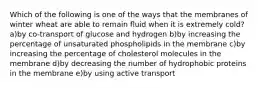 Which of the following is one of the ways that the membranes of winter wheat are able to remain fluid when it is extremely cold? a)by co-transport of glucose and hydrogen b)by increasing the percentage of unsaturated phospholipids in the membrane c)by increasing the percentage of cholesterol molecules in the membrane d)by decreasing the number of hydrophobic proteins in the membrane e)by using active transport