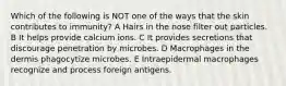 Which of the following is NOT one of the ways that the skin contributes to immunity? A Hairs in the nose filter out particles. B It helps provide calcium ions. C It provides secretions that discourage penetration by microbes. D Macrophages in the dermis phagocytize microbes. E Intraepidermal macrophages recognize and process foreign antigens.