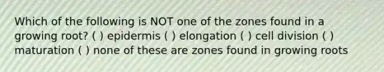 Which of the following is NOT one of the zones found in a growing root? ( ) epidermis ( ) elongation ( ) <a href='https://www.questionai.com/knowledge/kjHVAH8Me4-cell-division' class='anchor-knowledge'>cell division</a> ( ) maturation ( ) none of these are zones found in growing roots