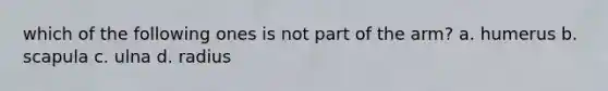 which of the following ones is not part of the arm? a. humerus b. scapula c. ulna d. radius