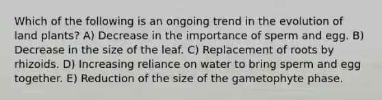 Which of the following is an ongoing trend in the evolution of land plants? A) Decrease in the importance of sperm and egg. B) Decrease in the size of the leaf. C) Replacement of roots by rhizoids. D) Increasing reliance on water to bring sperm and egg together. E) Reduction of the size of the gametophyte phase.