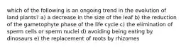 which of the following is an ongoing trend in the evolution of land plants? a) a decrease in the size of the leaf b) the reduction of the gametophyte phase of the life cycle c) the elimination of sperm cells or sperm nuclei d) avoiding being eating by dinosaurs e) the replacement of roots by rhizomes