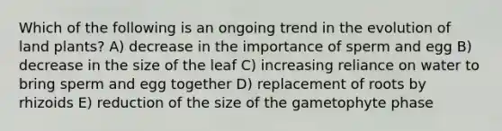 Which of the following is an ongoing trend in the evolution of land plants? A) decrease in the importance of sperm and egg B) decrease in the size of the leaf C) increasing reliance on water to bring sperm and egg together D) replacement of roots by rhizoids E) reduction of the size of the gametophyte phase