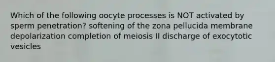 Which of the following oocyte processes is NOT activated by sperm penetration? softening of the zona pellucida membrane depolarization completion of meiosis II discharge of exocytotic vesicles