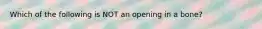 Which of the following is NOT an opening in a bone?