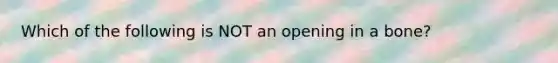 Which of the following is NOT an opening in a bone?