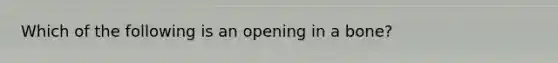 Which of the following is an opening in a bone?