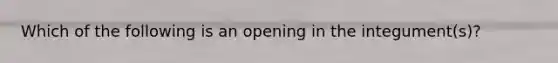 Which of the following is an opening in the integument(s)?