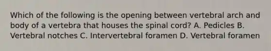 Which of the following is the opening between vertebral arch and body of a vertebra that houses the spinal cord? A. Pedicles B. Vertebral notches C. Intervertebral foramen D. Vertebral foramen