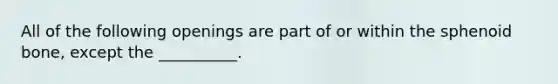 All of the following openings are part of or within the sphenoid bone, except the __________.
