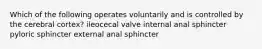 Which of the following operates voluntarily and is controlled by the cerebral cortex? ileocecal valve internal anal sphincter pyloric sphincter external anal sphincter