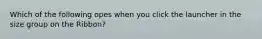 Which of the following opes when you click the launcher in the size group on the Ribbon?