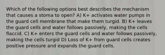 Which of the following options best describes the mechanism that causes a stoma to open? A) K+ activates water pumps in the guard cell membrane that make them turgid. B) K+ leaves the guard cells and water follows passively, making the cells flaccid. C) K+ enters the guard cells and water follows passively, making the cells turgid D) Loss of K+ from guard cells creates positive pressure and expands the guard cells.