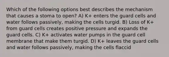 Which of the following options best describes the mechanism that causes a stoma to open? A) K+ enters the guard cells and water follows passively, making the cells turgid. B) Loss of K+ from guard cells creates positive pressure and expands the guard cells. C) K+ activates water pumps in the guard cell membrane that make them turgid. D) K+ leaves the guard cells and water follows passively, making the cells flaccid