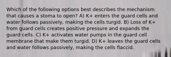 Which of the following options best describes the mechanism that causes a stoma to open? A) K+ enters the guard cells and water follows passively, making the cells turgid. B) Loss of K+ from guard cells creates positive pressure and expands the guard cells. C) K+ activates water pumps in the guard cell membrane that make them turgid. D) K+ leaves the guard cells and water follows passively, making the cells flaccid.