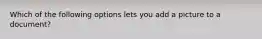 Which of the following options lets you add a picture to a document?