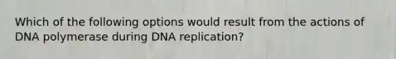 Which of the following options would result from the actions of DNA polymerase during DNA replication?