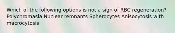 Which of the following options is not a sign of RBC regeneration? Polychromasia Nuclear remnants Spherocytes Anisocytosis with macrocytosis