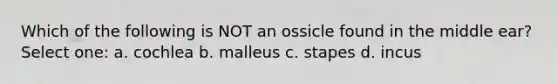 Which of the following is NOT an ossicle found in the middle ear? Select one: a. cochlea b. malleus c. stapes d. incus