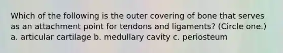 Which of the following is the outer covering of bone that serves as an attachment point for tendons and ligaments? (Circle one.) a. articular cartilage b. medullary cavity c. periosteum